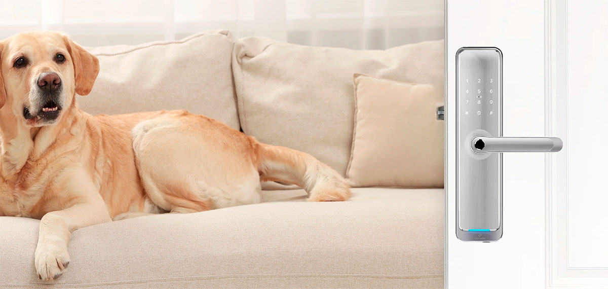 Фото электронного замка Dircode М701 Sciener в интерьере