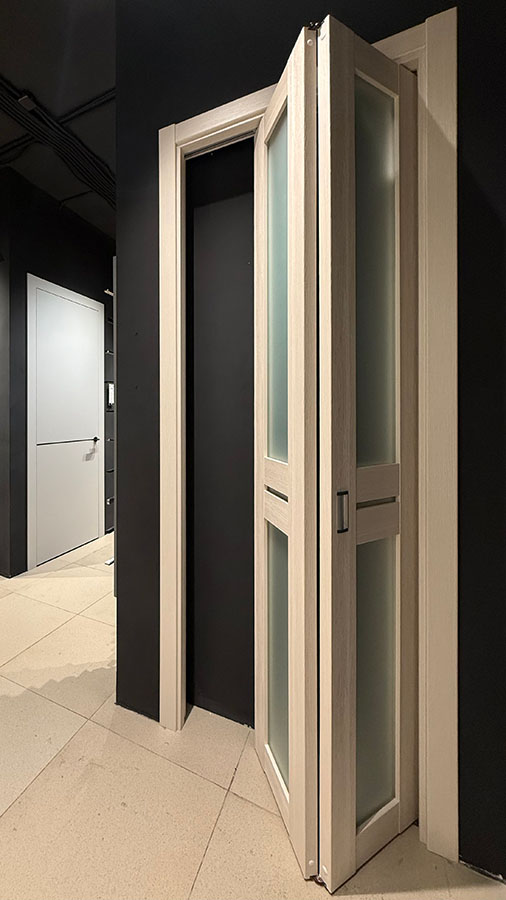 Дверь книжка в интерьере