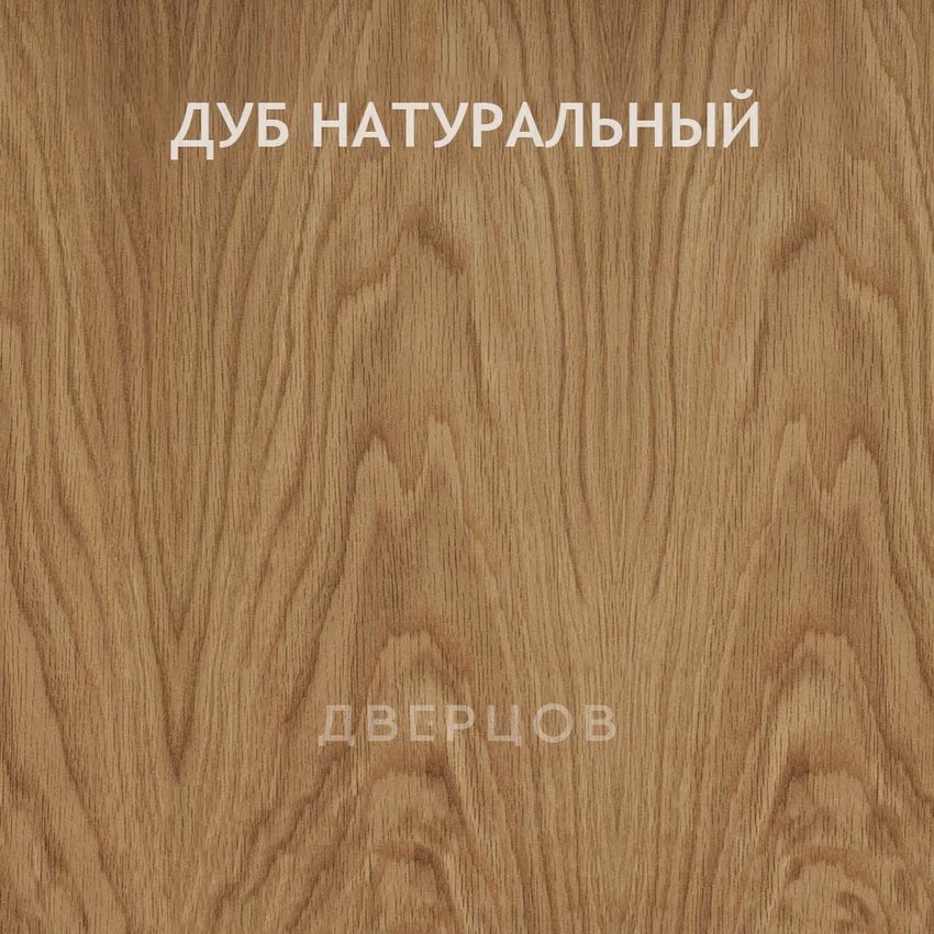 Межкомнатная дверь массив дуба с сучком Дверцов Авиано глухая дуб натуральный