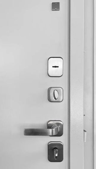 Входная дверь Президент Лайн ПВХ белый матовый панель МДФ под покраску