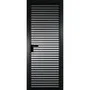 Межкомнатная алюминиевая дверь 12AG чёрная матовая RAL 9005 остеклённая