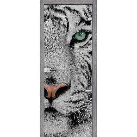 фотография стеклянной двери Акма Animal с наличниками из экошпона в цвете грей