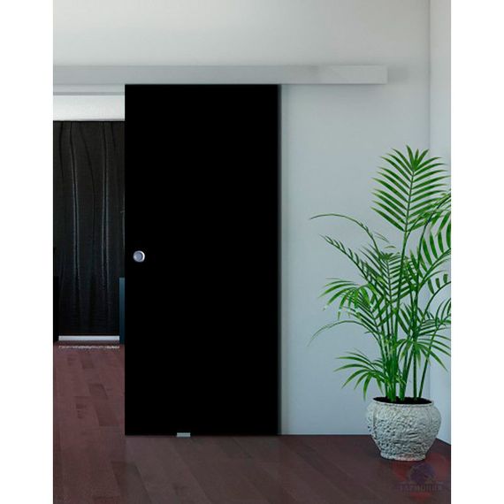 Фото раздвижной двери Triplex Black в интерьере 2