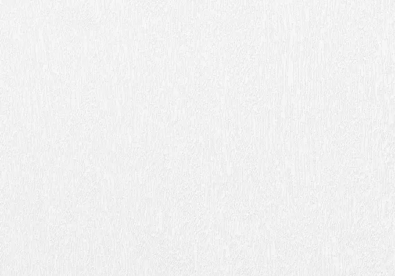 Межкомнатная дверь Турин 501.2 белый снежный с зеркалом