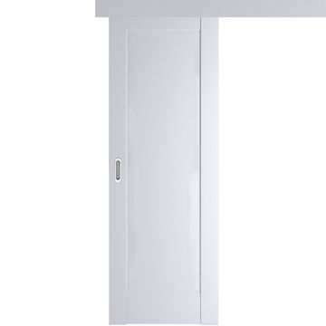 Раздвижная одностворчатая дверь Кобальт 20 аляска глухая