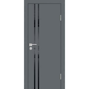 Межкомнатная дверь ПЭТ P-11 графит кромка ABS в цвет полотна со стеклом