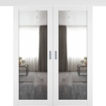 Двустворчатая дверь купе 501.2 белый снежный с зеркалом с одной стороны