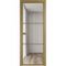 Алюминиевая межкомнатная дверь 3AХ золото остеклённая