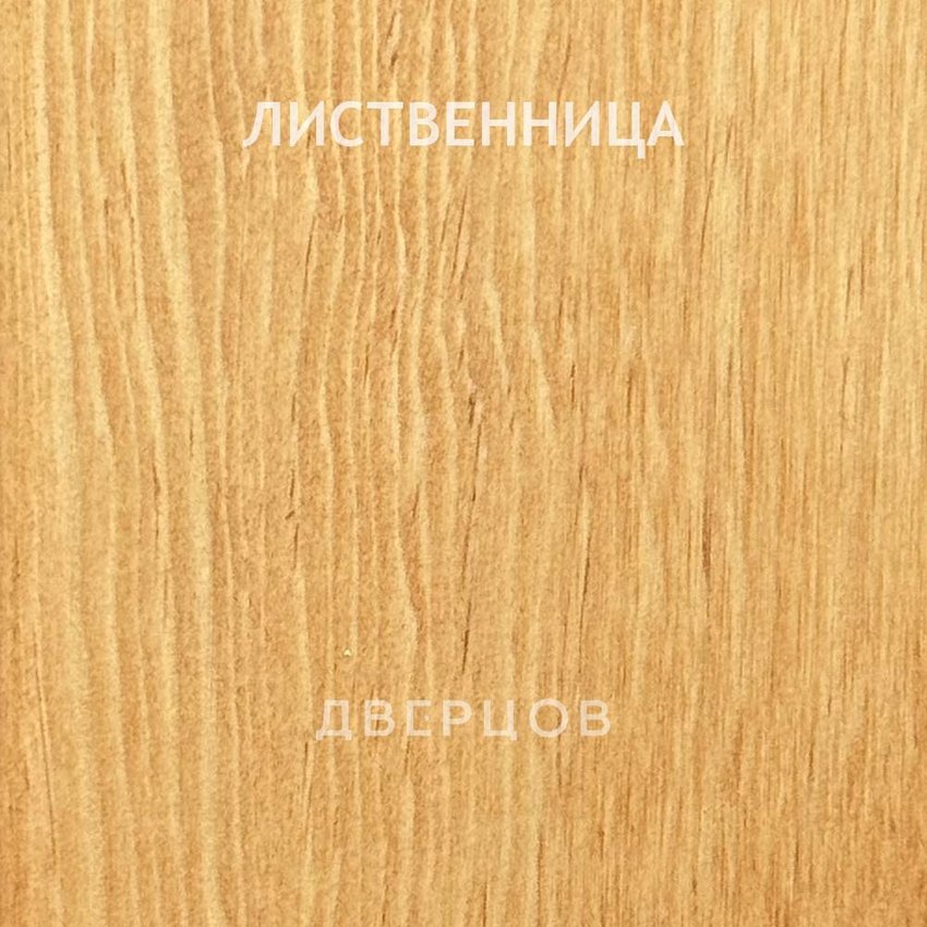 Межкомнатная дверь массив дуба с сучком Дверцов Ливорно глухая