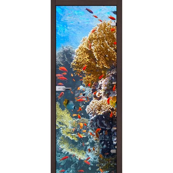 фотография стеклянной двери Акма Whater с наличниками из экошпона в цвете венге мелинга