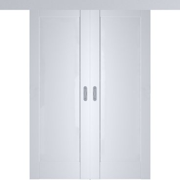 Раздвижная двустворчатая дверь Кобальт 20 аляска глухая