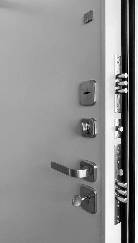 Входная дверь Президент Лайн ПВХ белый матовый панель зеркало INFINITY