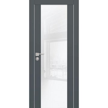 Межкомнатная дверь экошпон PX-7 графит с алюминиевой кромкой со стеклом
