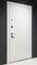 Входная дверь Президент Лайн ПВХ белый матовый панель фоборг