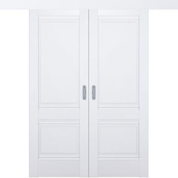 Раздвижная двустворчатая дверь Кобальт 11.1 аляска глухая