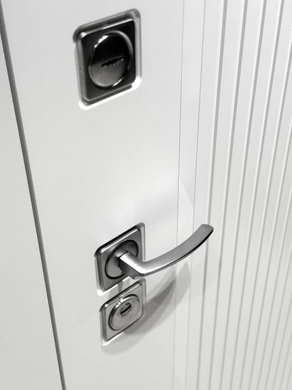 Входная дверь Президент Лайн ПВХ белый матовый панель лайн эмаль