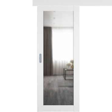 Одностворчатая дверь купе 501.2 белый снежный с зеркалом с одной стороны