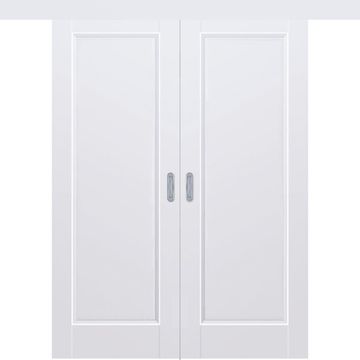 Раздвижная двустворчатая дверь Кобальт 26 аляска глухая