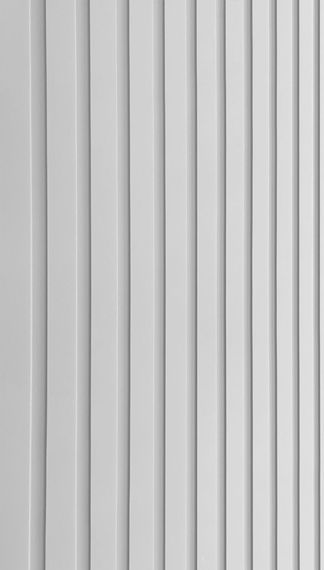 Входная дверь Президент Лайн ПВХ белый матовый панель белый снег софт