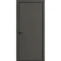 Межкомнатная дверь экошпон ДП-50 graphite silk глухая