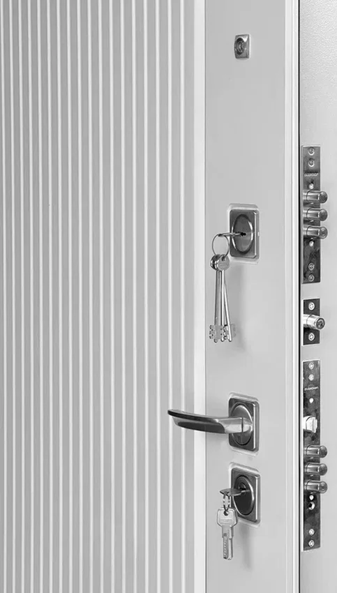 Входная дверь Президент Лайн ПВХ белый матовый панель МДФ под покраску