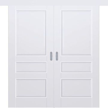 Раздвижная двустворчатая дверь Кобальт 27 аляска глухая