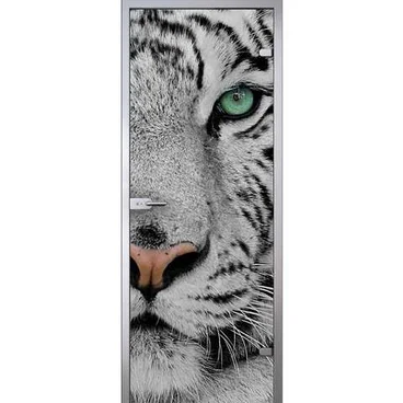 Межкомнатная стеклянная дверь АКМА Animal триплекс фотопечать