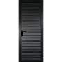 Межкомнатная алюминиевая дверь 12AG чёрная матовая RAL 9005 остеклённая