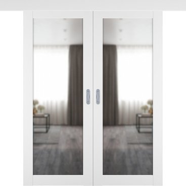 Двустворчатая дверь купе 501.2 белый снежный с зеркалом с одной стороны