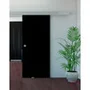 Фото раздвижной двери Triplex Black в интерьере 2