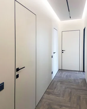 ДВЕРЦОВ Invisible 4:5