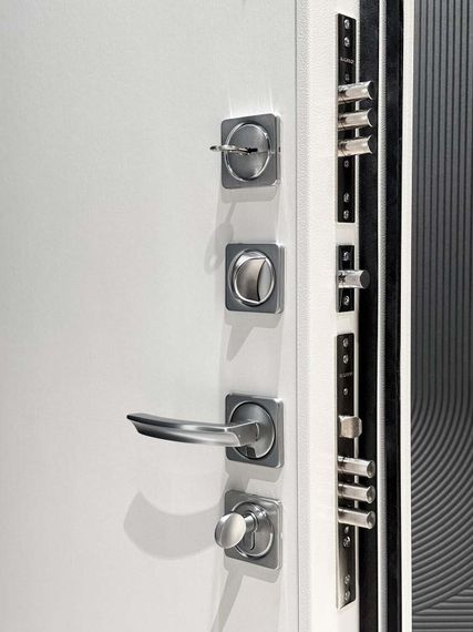 Входная дверь Президент Лайн ПВХ белый матовый панель фоборг