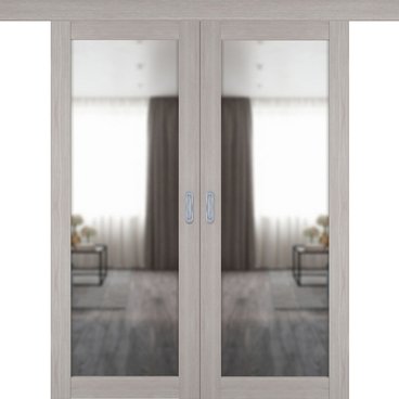 Двустворчатая дверь купе 501.2 серый дуб с зеркалом с одной стороны
