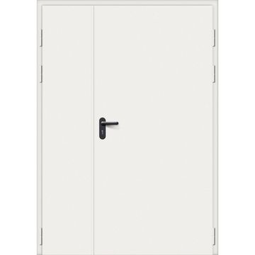 Дверь противопожарная стальная двупольная RAL 7035