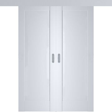 Раздвижная двустворчатая дверь Кобальт 20 аляска глухая