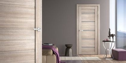 Какую дверь выбрать: из экошпона или ПВХ?