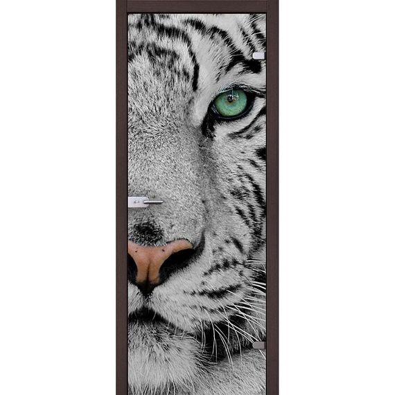 фотография стеклянной двери Акма Animal с наличниками из экошпона в цвете венге мелинга