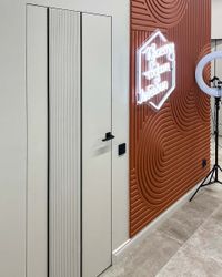 ДВЕРЦОВ Invisible 4-5