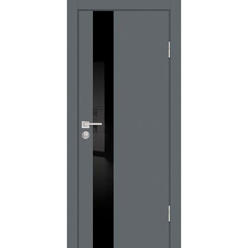 Межкомнатная дверь ПЭТ P-10 графит кромка ABS в цвет полотна со стеклом