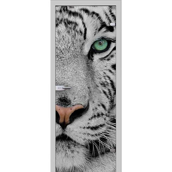 фотография стеклянной двери Акма Animal с наличниками из экошпона в цвете манхеттен