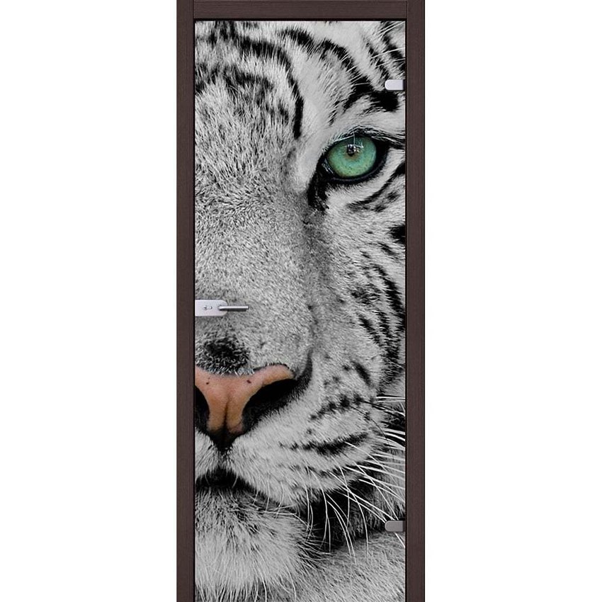 фотография стеклянной двери Акма Animal с наличниками из экошпона в цвете венге мелинга