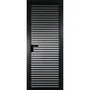 Межкомнатная алюминиевая дверь 12AG чёрная матовая RAL 9005 остеклённая