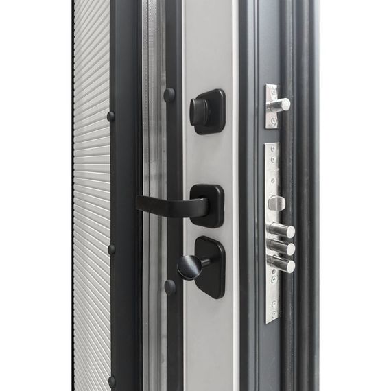 Входная уличная дверь RX-17 Термо муар RAL 7016 ПВХ белый матовый