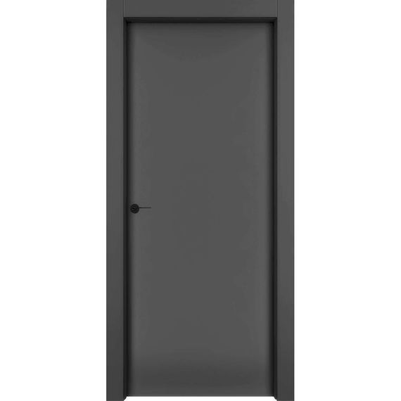 Фото противопожарной двери 1001 чёрная эмаль EIS60
