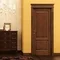 Regidoors