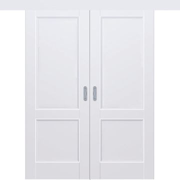 Раздвижная двустворчатая дверь Кобальт 25 аляска глухая