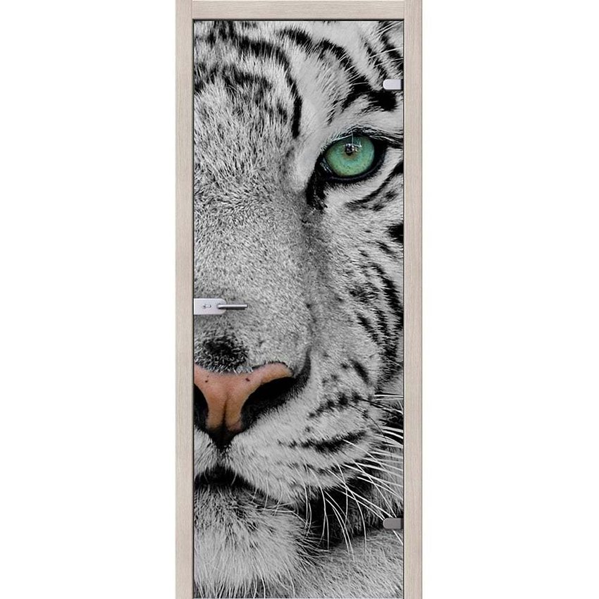 фотография стеклянной двери Акма Animal с наличниками из экошпона в цвете капучино мелинга