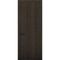 Межкомнатная дверь Плутоний 10 дуб тёмный глухая