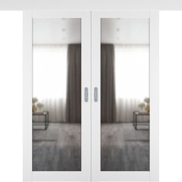 Двустворчатая дверь купе 501.2 белый снежный с зеркалом с одной стороны