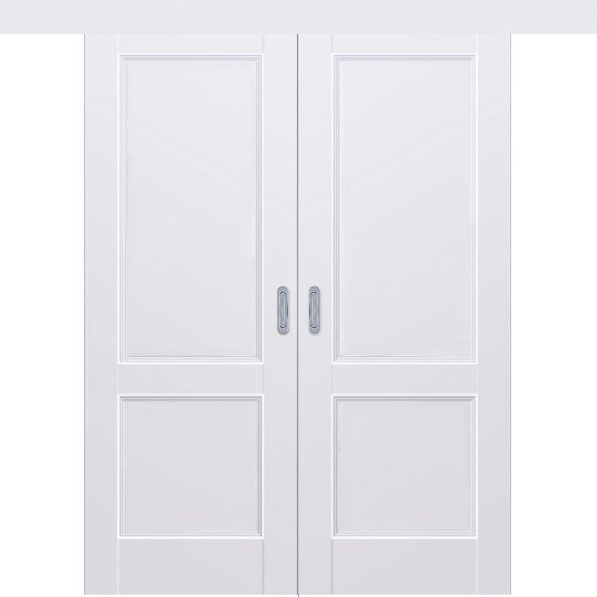 Фото раздвижной двустворчатой двери Кобальт 25 аляска глухая